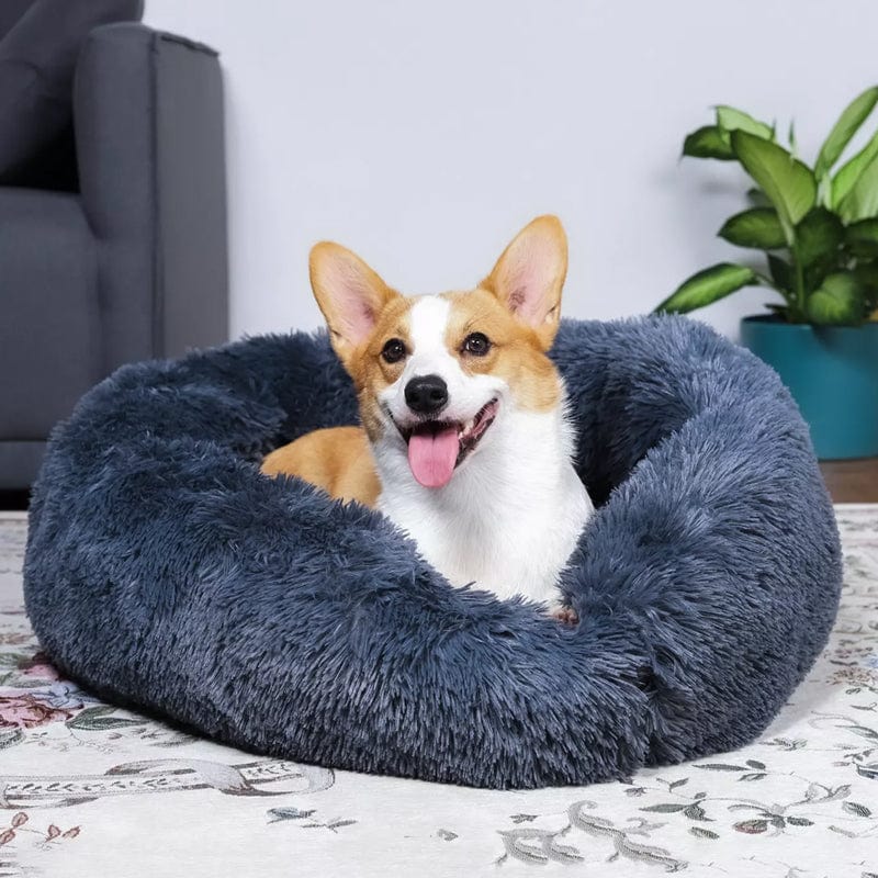 Lit Donut Douillet pour Chiens et Chats – Panier Apaisant Rond en Peluche Lits pour animaux de compagnie Electro Paris Gris foncé 40 CM