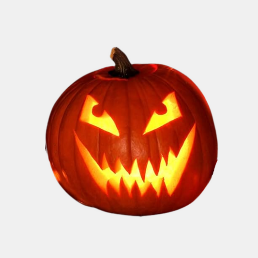 Lumières LED sans Flamme pour Citrouille – Lot de 12 Bougies à Piles pour Jack-O'-Lantern Décorations saisonnières Electro Paris