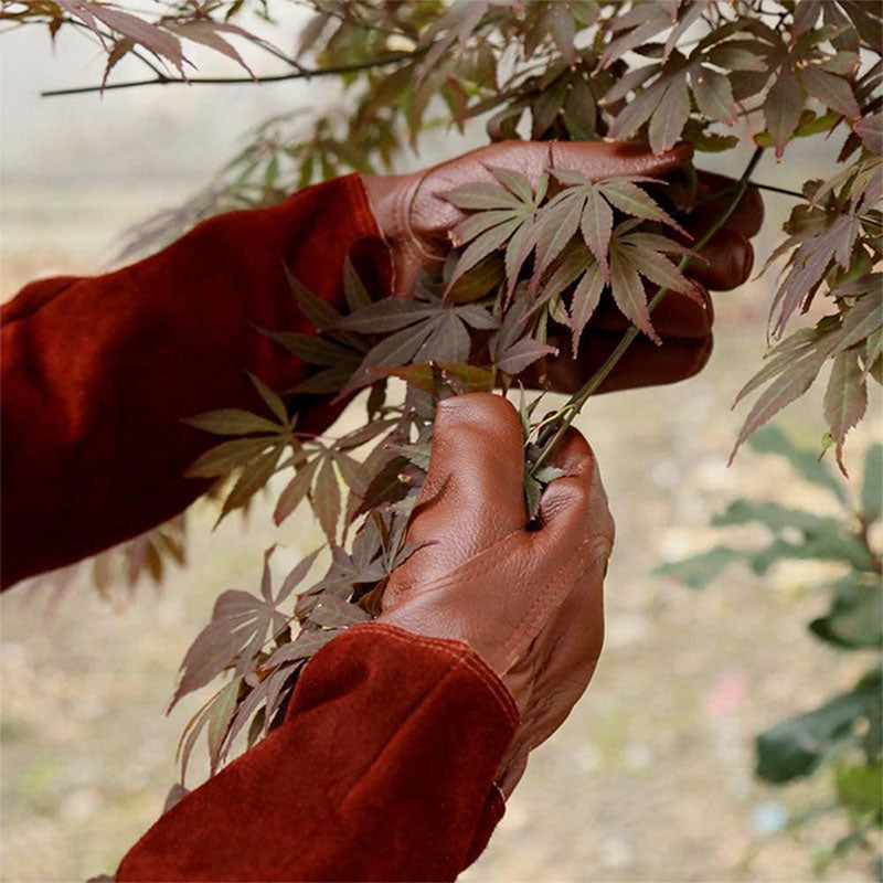 Gants De Jardinage Multifonctionnels Antidérapants Avec Protection Renforcée Et Poignet Élastique Ajustable Gloves Electro Paris