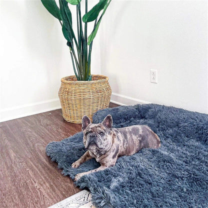 Panier De Chien Style Canapé Avec Bords Rehaussés Et Protection Intégrée Pour Meubles Best Dog Sofa Bed - Calming Furniture Protector, Light Gray / S (Up to 35LBS) Electro Paris
