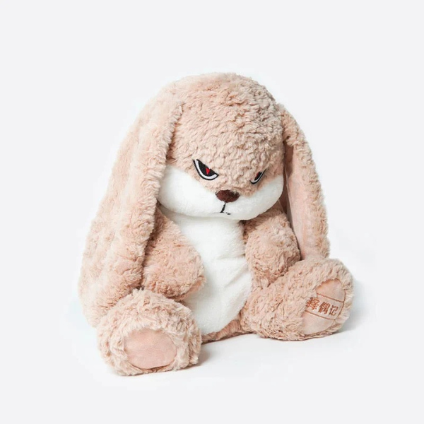 Peluche Lapin Expressive Pillow Electro Paris