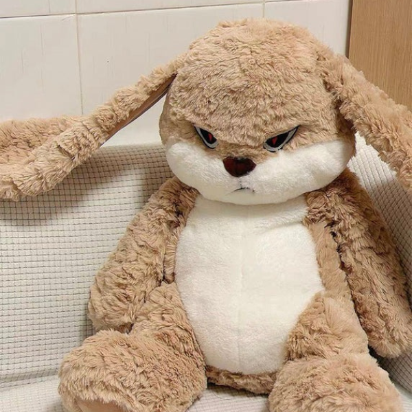 Peluche Lapin Expressive Pillow Electro Paris