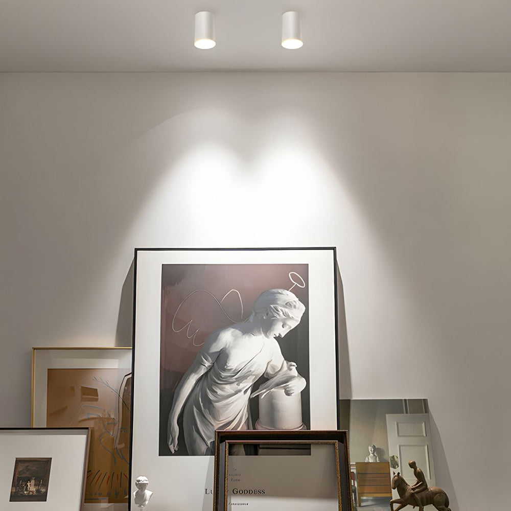 Downlight LED Moderne en Aluminium – Spot monté en surface Luminaires de plafond Electro Paris Blanc D7.5cm*H10cm(7W) Lumière Blanche