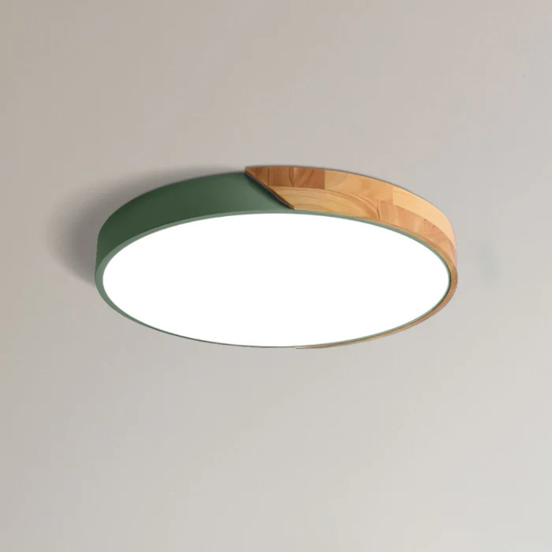 Plafonnier LED Minimaliste au Style Nordique Ceiling Lamp Electro Paris Vert D23 cm (12w) Standard
