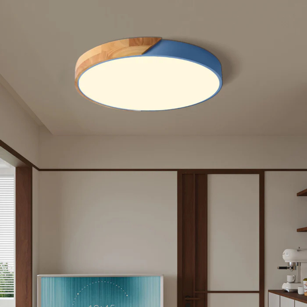 Plafonnier LED Minimaliste au Style Nordique Ceiling Lamp Electro Paris