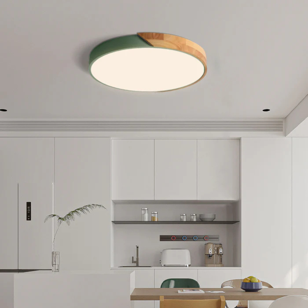 Plafonnier LED Minimaliste au Style Nordique Ceiling Lamp Electro Paris