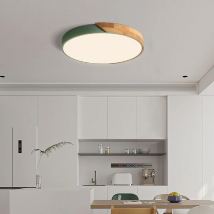 Plafonnier LED Minimaliste au Style Nordique Ceiling Lamp Electro Paris