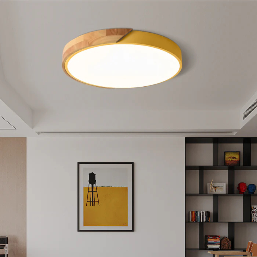 Plafonnier LED Minimaliste au Style Nordique Ceiling Lamp Electro Paris