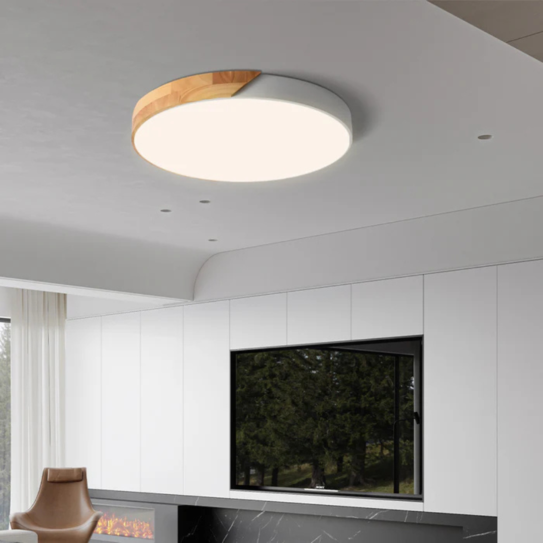 Plafonnier LED Minimaliste au Style Nordique Ceiling Lamp Electro Paris