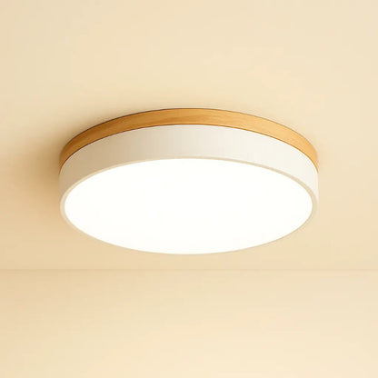 Plafonnier Nordique Minimaliste pour Intérieurs Modernes Ceiling Lamp Electro Paris