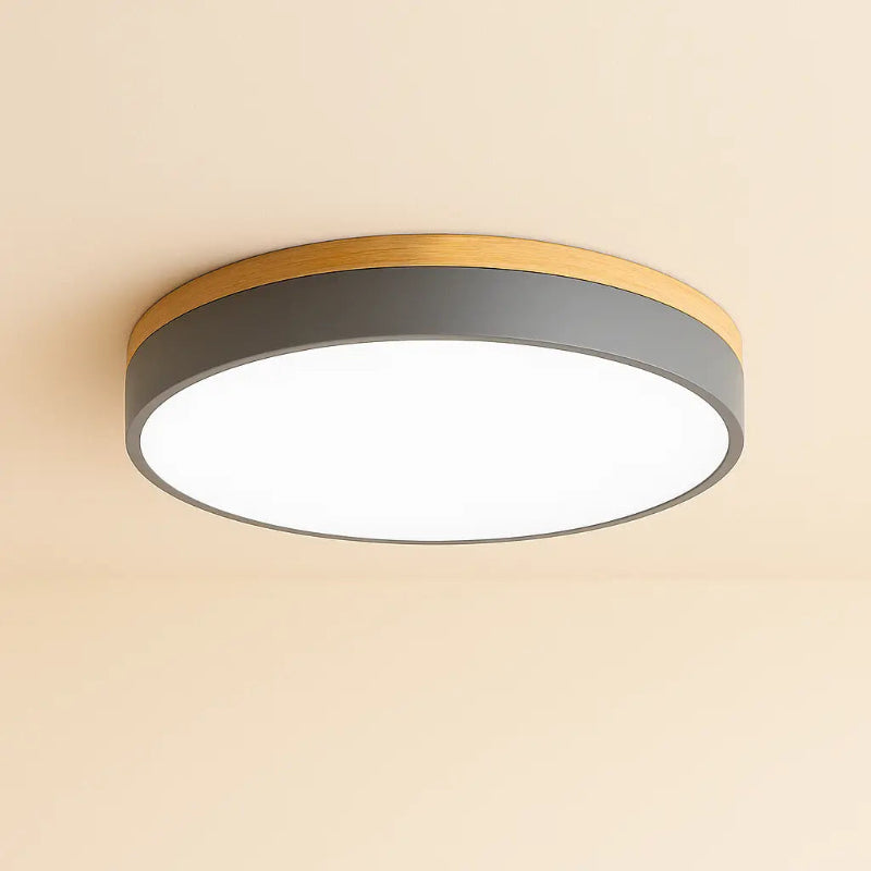 Plafonnier Nordique Minimaliste pour Intérieurs Modernes Ceiling Lamp Electro Paris 30cm Gris Blanc chaud (3000K)