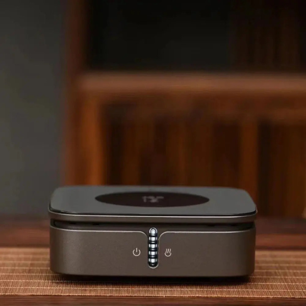 Plaque Chauffante Céramique – Chaleur Pratique et Élégante Electro Paris