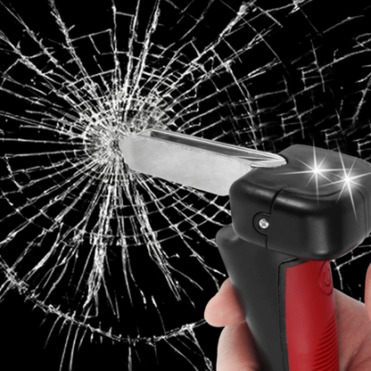 Poignée d’Assistance d’Entrée de Voiture Tout-en-Un Car Accessories Electro Paris