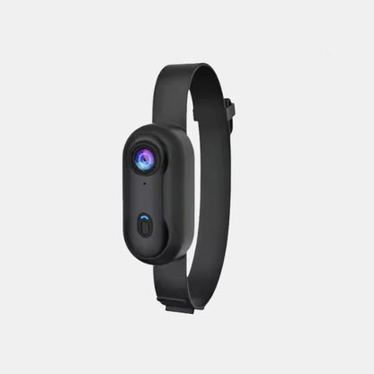 Porte-Accessoires pour Animaux – Pratique et Élégant Electro Paris