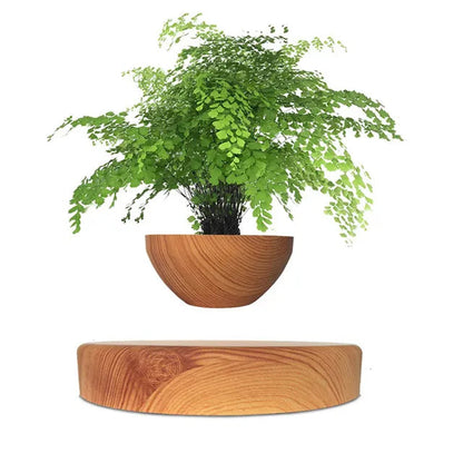 Pot de Fleur Lévitant avec Rotation pour une Décoration Moderne Pots décoratifs Electro Paris Bois rond