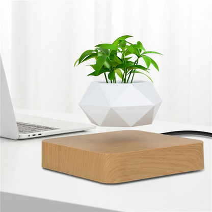 Pot de Fleur Lévitant avec Rotation pour une Décoration Moderne Pots décoratifs Electro Paris Base en bois
