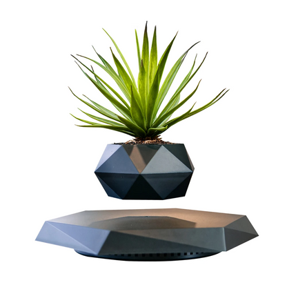 Pot de Fleur Lévitant avec Rotation pour une Décoration Moderne Pots décoratifs Electro Paris Onyx noir