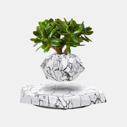 Pot de Fleur Lévitant avec Rotation pour une Décoration Moderne Pots décoratifs Electro Paris Marbre