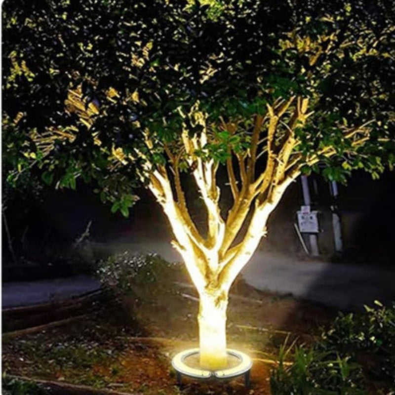 Projecteurs LED Extérieurs pour Jardin, Terrasse et Arbres Outdoor Lighting Electro Paris
