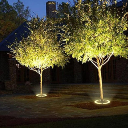 Projecteurs LED Extérieurs pour Jardin, Terrasse et Arbres Outdoor Lighting Electro Paris