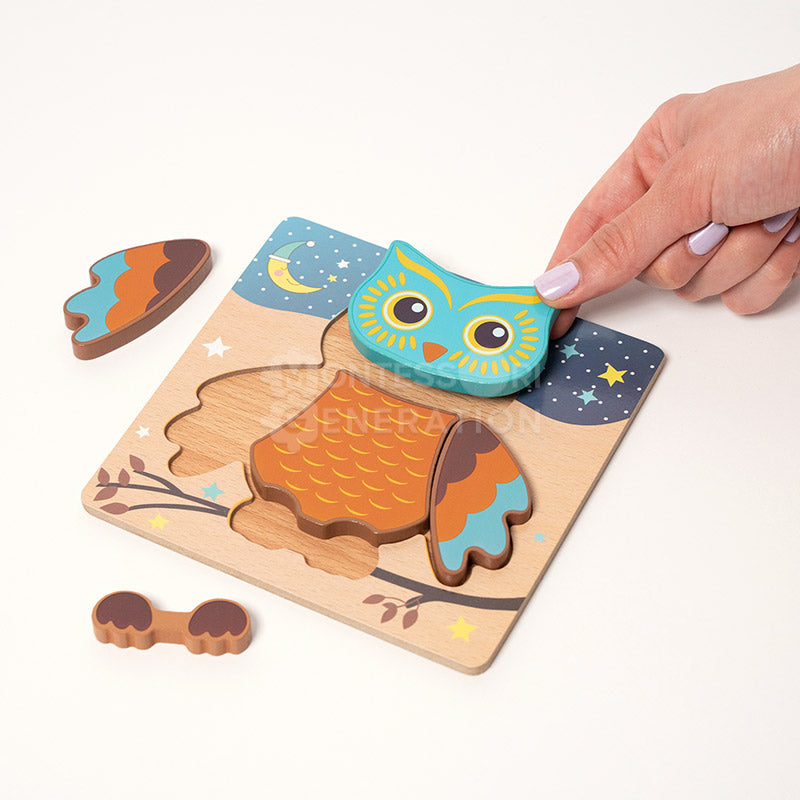 Ensemble de 6 Puzzles en Bois à Tenons pour Tout-Petits – Jouet d'Éveil Éducatif avec Boutons Casse-têtes Electro Paris