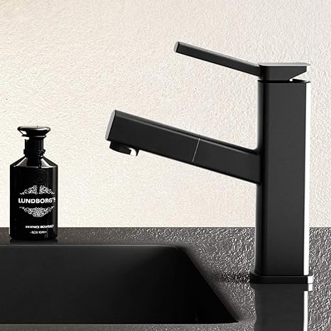 Robinet de Salle de Bain avec Douchette Rétractable – Mitigeur Lavabo Monocommande Multifonction Appareils de plomberie Electro Paris