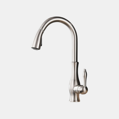 Robinet de Cuisine Moderne avec Douchette Rétractable – Mitigeur d'Évier Pivotant en Acier Inoxydable Robinet de cuisine Electro Paris Nickel brossé