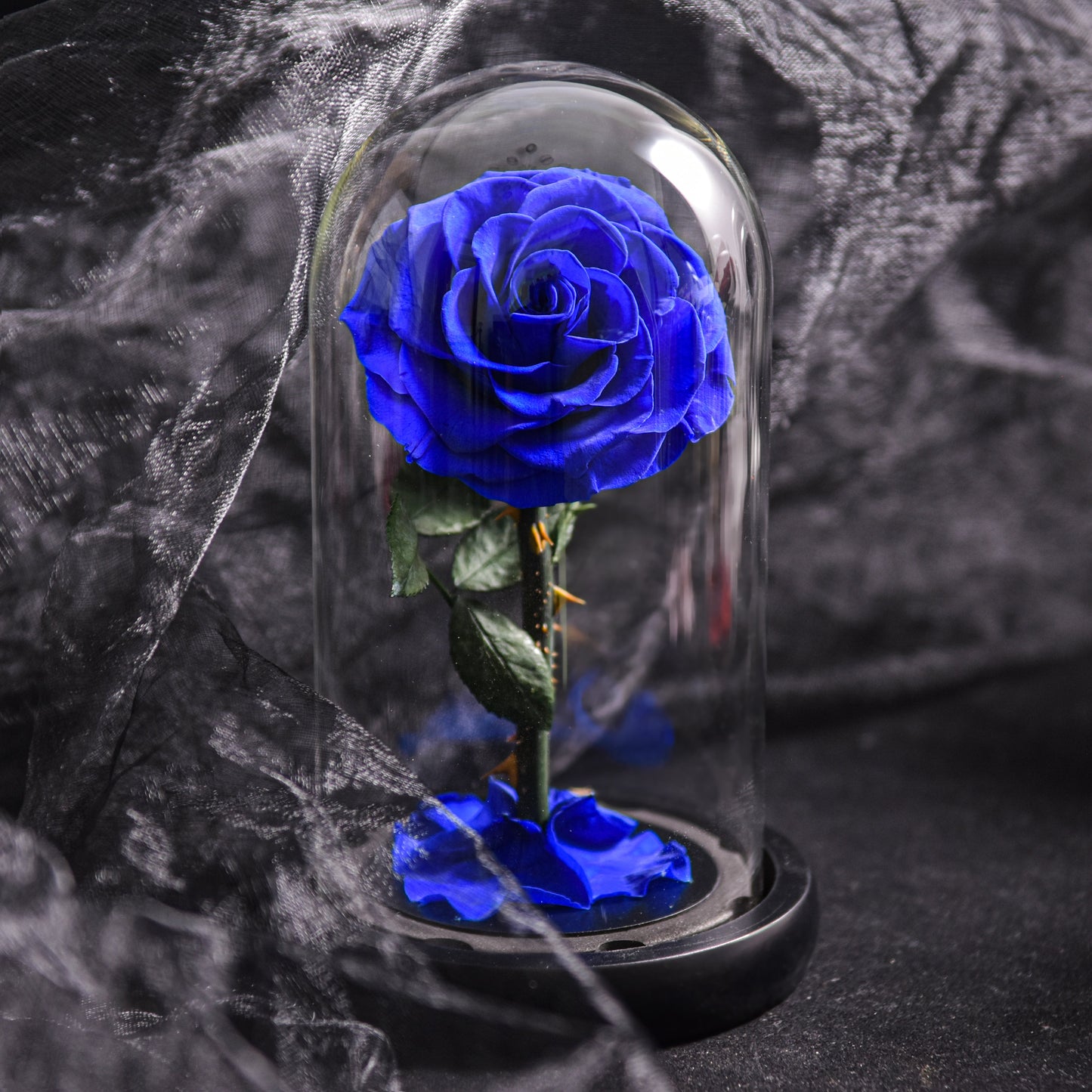 Rose Éternelle Bleue sous Cloche en Verre Élégante et Durable Fleurs et plantes artificielles Electro Paris