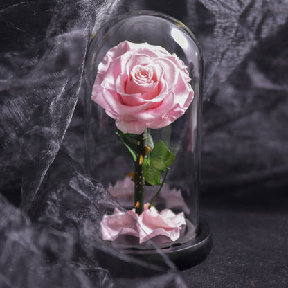 Rose Éternelle Bleue sous Cloche en Verre Élégante et Durable Fleurs et plantes artificielles Electro Paris Rose