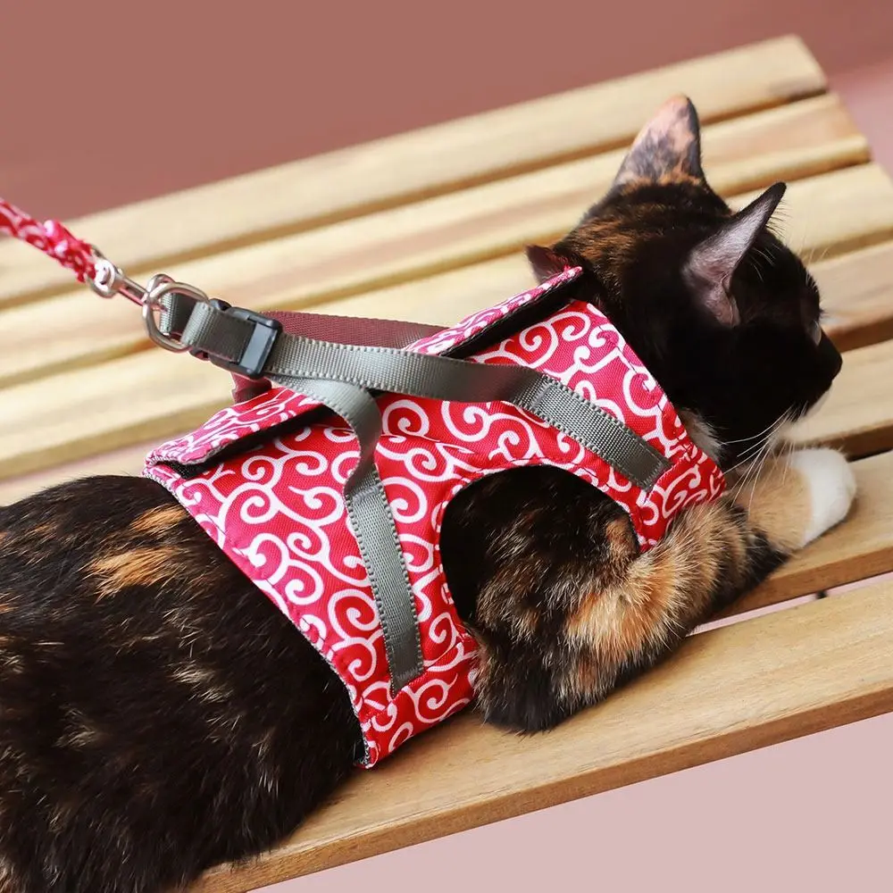 Harnais Pour Chat Anti-Fuite Avec Laisse Assortie Pour Balades Sécurisées Et Confort Optimal Pet harness Electro Paris
