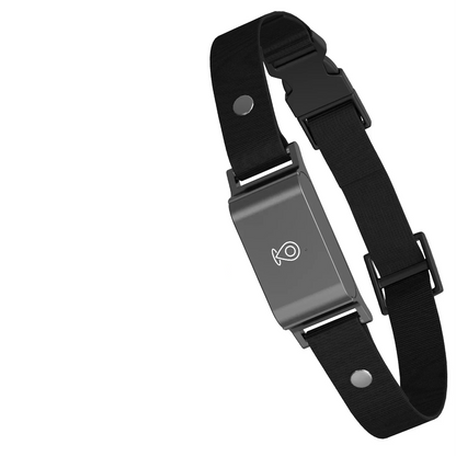 Collier GPS Étanche pour Chiens et Chats – Suivi Intelligent en Temps Réel Colliers GPS Electro Paris