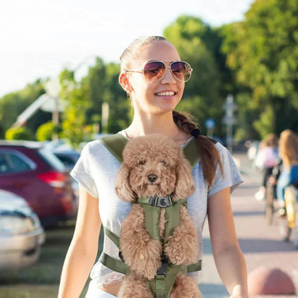 Sac de Transport pour Chien jusqu’à 10 kg – Confort et Sécurité avec Design Ergonomique Transportery dla zwierząt Electro Paris