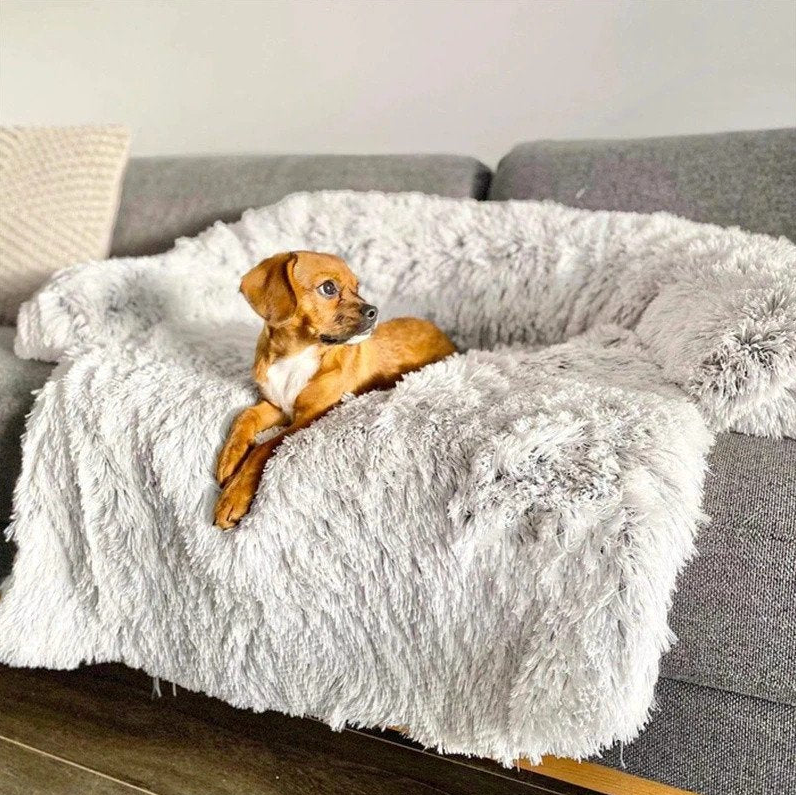 Panier De Chien Style Canapé Avec Bords Rehaussés Et Protection Intégrée Pour Meubles Best Dog Sofa Bed - Calming Furniture Protector, Light Gray / S (Up to 35LBS) Electro Paris