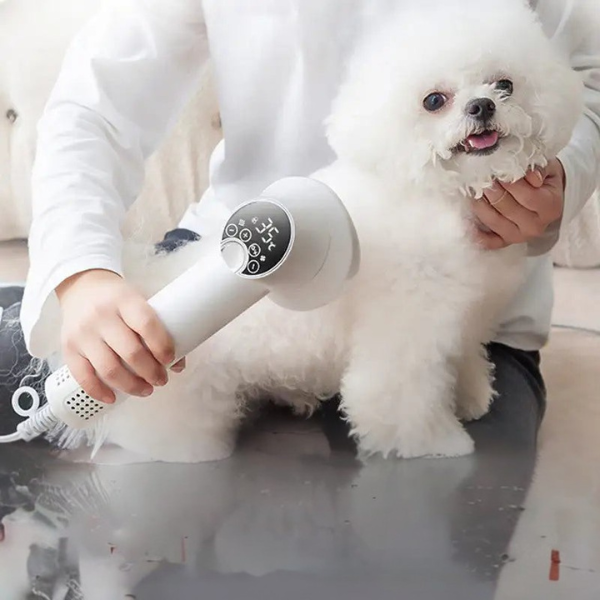 Sèche-Cheveux Intelligent 2 en 1 pour Chien – Séchage et Soin Intégrés Pet supplies Electro Paris