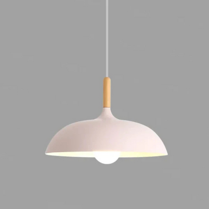 Suspension Plafonnier Style Nordique Minimaliste à Câble Réglable Luminaire de plafond Electro Paris Rose Blanc chaud dia35cm X h23cm