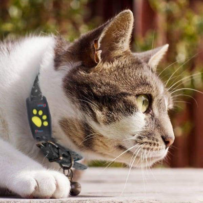 Traceur GPS en Temps Réel pour Chats – Collier de Suivi Léger pour la Sécurité Extérieure Dispositifs de suivi pour animaux de compagnie Electro Paris Default