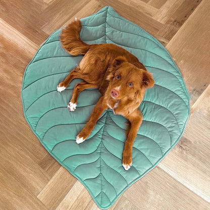 Couverture Imperméable pour Chien – Tapis Réversible en Peluche pour Animaux Couvertures et housses pour chiens Electro Paris Vert Clair Taille Unique