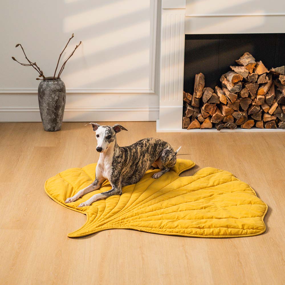 Couverture Imperméable pour Chien – Tapis Réversible en Peluche pour Animaux Couvertures et housses pour chiens Electro Paris
