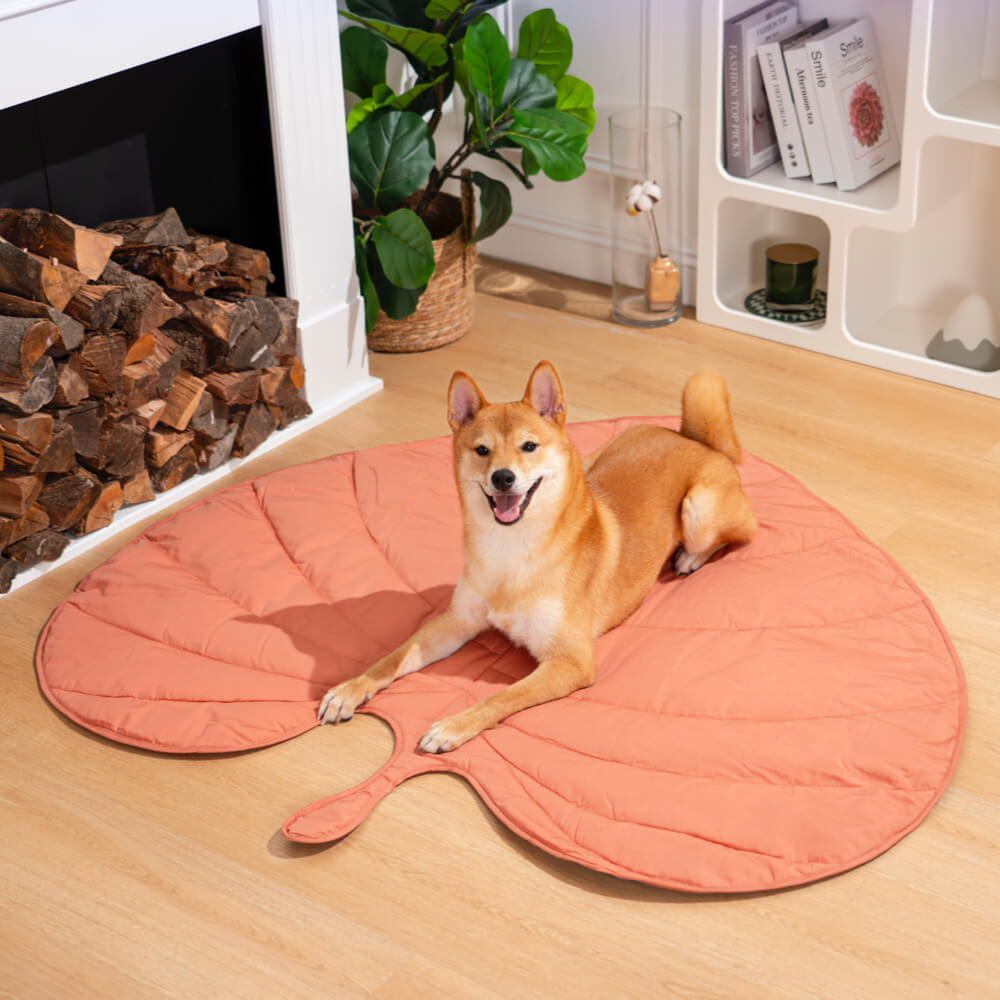 Couverture Imperméable pour Chien – Tapis Réversible en Peluche pour Animaux Couvertures et housses pour chiens Electro Paris Rose Taille Unique