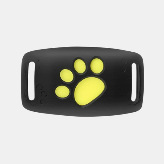 Traceur GPS en Temps Réel pour Chats – Collier de Suivi Léger pour la Sécurité Extérieure Dispositifs de suivi pour animaux de compagnie Electro Paris