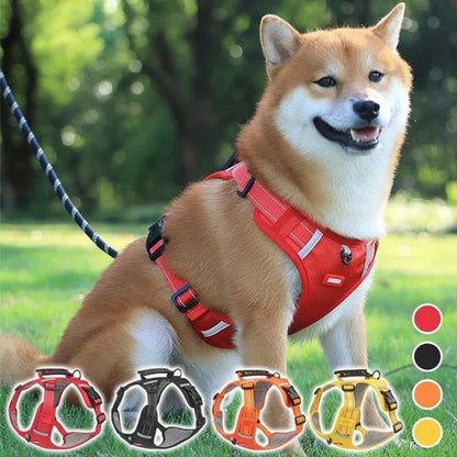 Harnais Pour Chien Confortable Et Sécurisé Pour Des Balades Sans Stress Harnesses Electro Paris