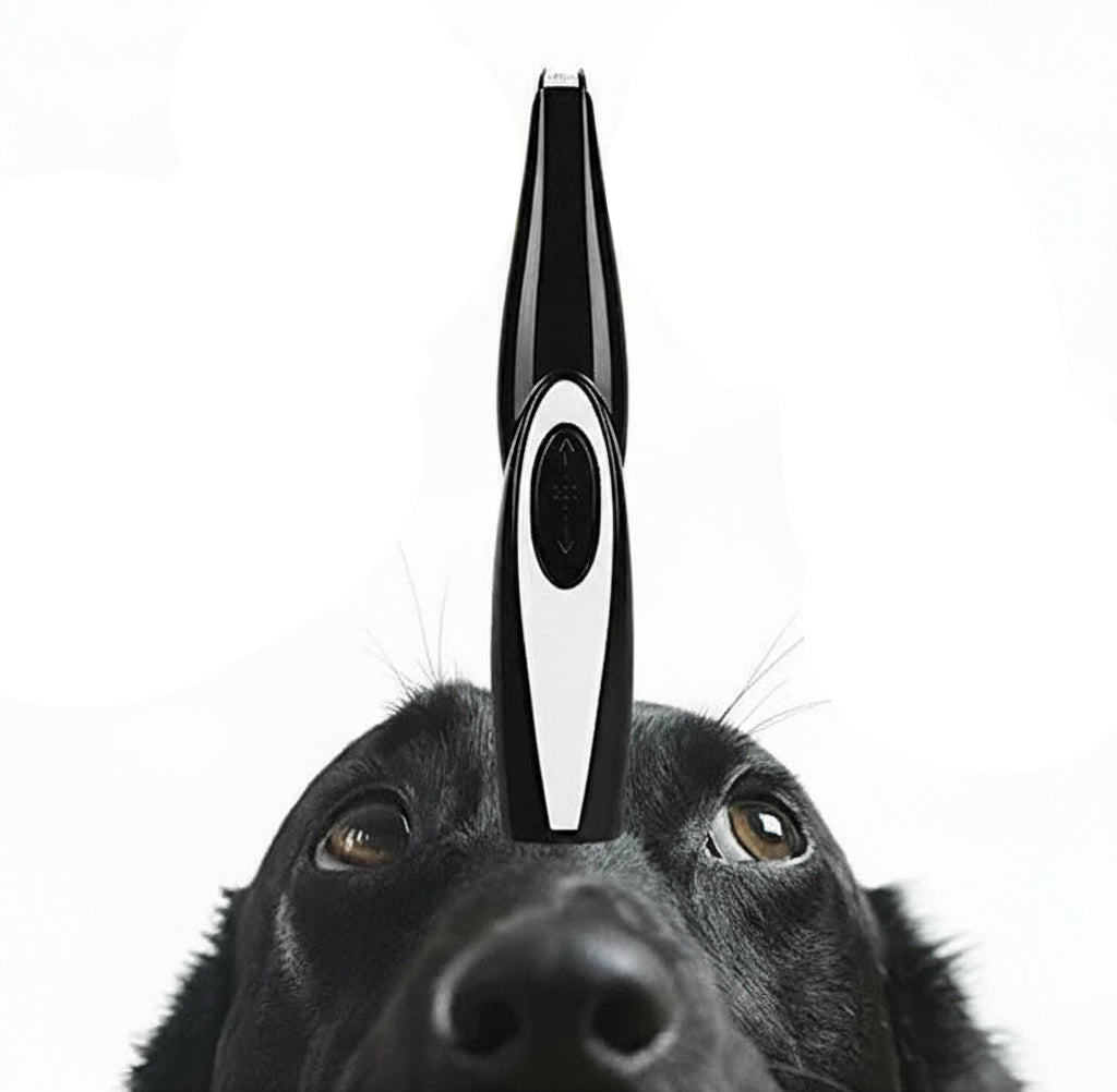 Tondeuse De Précision Pour Animaux Silencieuse Et Ergonomique Cyber Monday Offer Pets Electro Paris