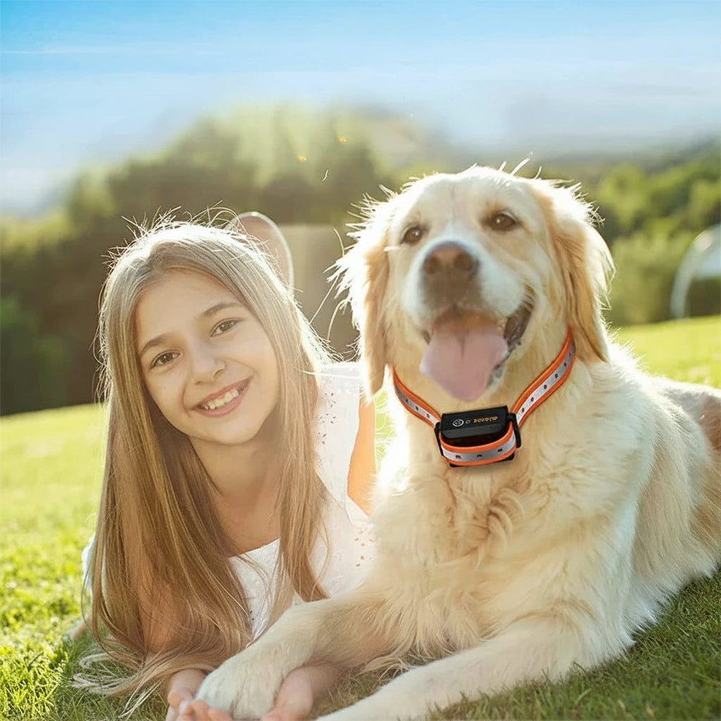 Collier Dressage Chien Électrique Avec Portée 1000m Et Modes Multiples Pet collar Electro Paris