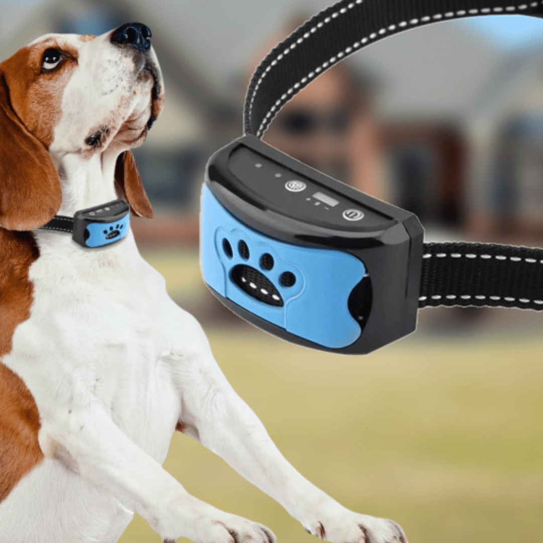 Collier Anti-Aboiement Intelligent Pour Chien - Sûr, Réglable Et Efficace Pet Accessories Electro Paris
