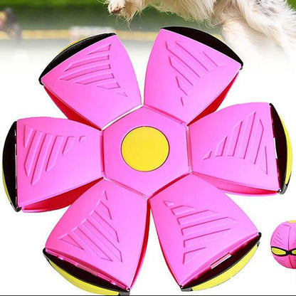 Balle Disque Volante Interactive Avec Lumières LED Et Matériau Durable Pour Animaux Toys & Games Electro Paris Rosa