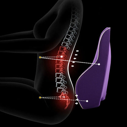 Oreiller Ergonomique De Soutien Lombaire En Mousse À Mémoire De Forme Pour Bureau Et Maison Back & Lumbar Support Cushions Electro Paris