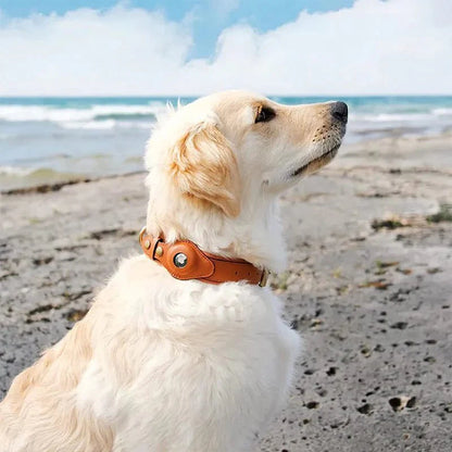 Collier de Chien – Suivi Facile avec AirTag pour la Sécurité et le Confort Premium AirTag Dog Collar Electro Paris