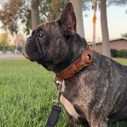 Collier de Chien – Suivi Facile avec AirTag pour la Sécurité et le Confort Premium AirTag Dog Collar Electro Paris