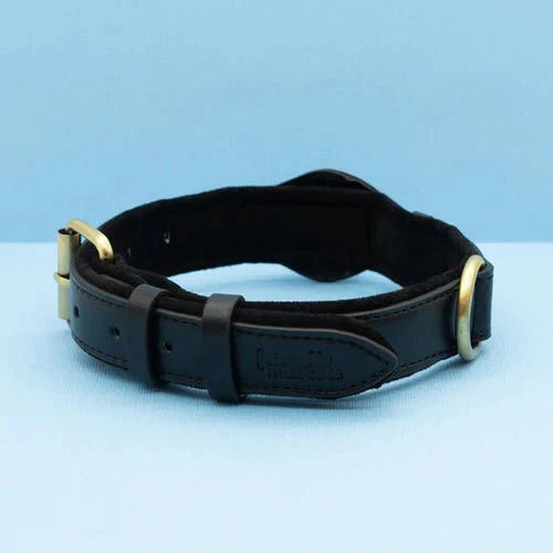 Collier de Chien – Suivi Facile avec AirTag pour la Sécurité et le Confort Premium AirTag Dog Collar Electro Paris