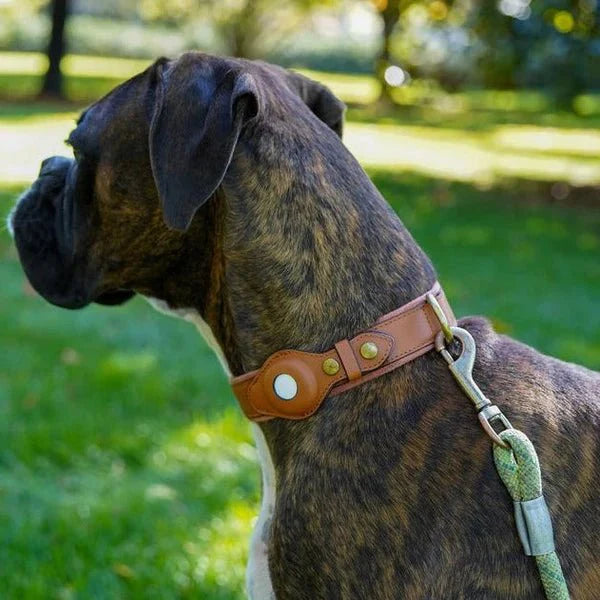 Collier de Chien – Suivi Facile avec AirTag pour la Sécurité et le Confort Premium AirTag Dog Collar Electro Paris Marron S